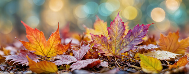 Autumn maple leaves foliage pile on the ground, shallow depth of field bokeh blur, warm ambiance and rustic yellow red color tones, ultra wide scene capturing the essence and mood of fall season
