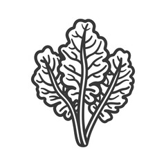 Hand Drawn Illustration of a Bundle of Spinach Leaves