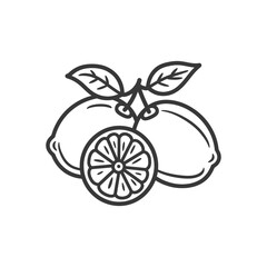 Two Whole Lemons and a Lemon Slice with Leaves