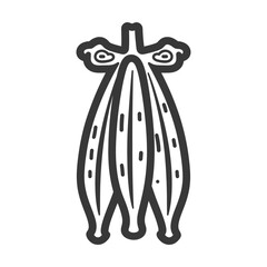 Line drawing of three vanilla beans