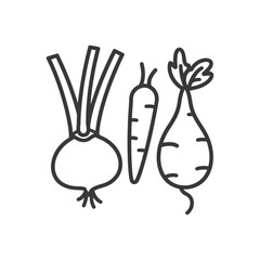Fototapeta premium Line drawing of a turnip carrot and beet