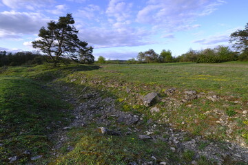 Abend über dem Naturschutzgebiet Grainberg-Kalbenstein am Main bei Karlstadt, Landkreis...