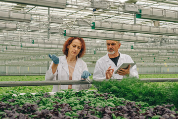 Two scientists from healthy eating research center, laboratory workers, man and woman in white...