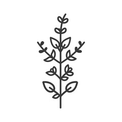 Line art illustration of a small plant with leaves