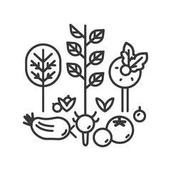 Line Drawing of Various Garden Vegetables and Herbs