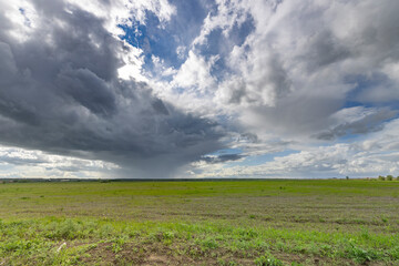 A vast green field lies beneath stormy skies, peaceful yet foreboding..