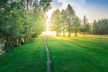 A path runs through a lush green field with trees in the background