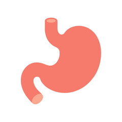 Gastroenteralgia stomach human organ flat design