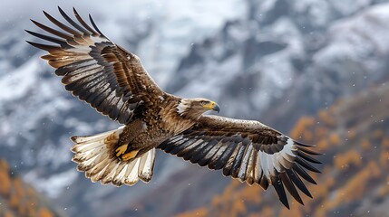 Obraz premium A realistic photograph, 8K resolution, shot on professional DSLR camera, tack-sharp focus, exquisite detail, high dynamic range of A graceful eagle soaring through the sky, with mountains in 