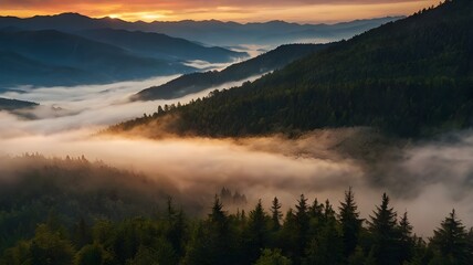 mist over the mountains