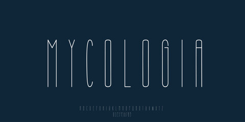 Elegant Minimalist Serif Alphabet Font Set – Modern and Classic Lettering
