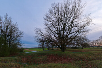 Obraz premium Abendstimmung im NSG Sulzheimer Gipshügel, Landkreis Schweinfurt, Unterfranken, Bayern, Deutschland.