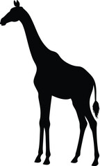Giraffe silhouette vector