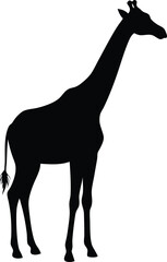 Giraffe silhouette vector