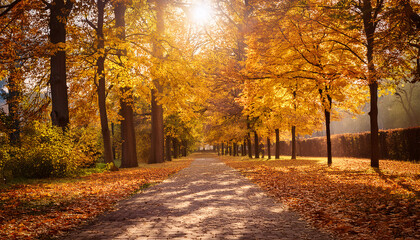 紅葉と散歩道 背景画像 Generative AI