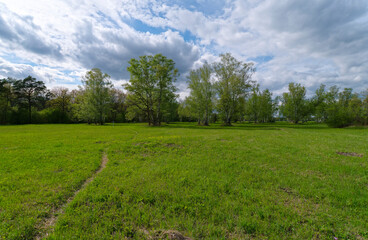 Landschaft im NSG Grettstädter Riedwiesen im Abendlicht, Landkreis Schweinfurt, Unterfranken, Bayern, Deutschland.
