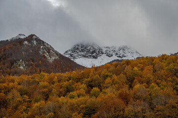 Molise, Mainarde. Autumn landscape. Foliage