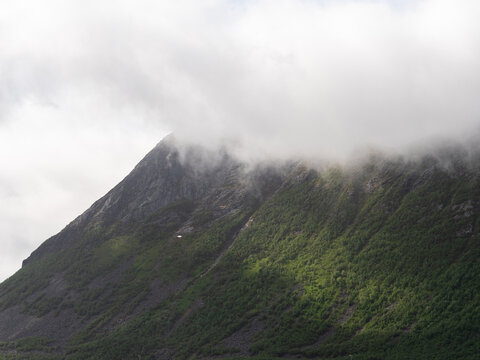 Norwegian green slope