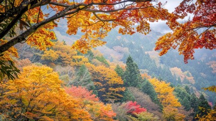 Autumnal Landscape with Vibrant Foliage