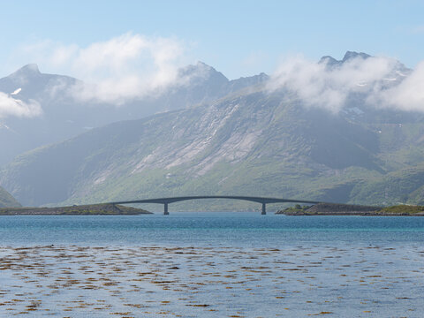 Bridge over the lake
