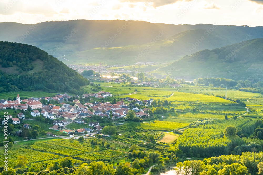 Poster vineyards and donau river in wachau valley austria with autumn colored leaves small traditional vill