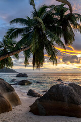 Perfect sunset landscape on a scenic tropical sand beach with palm trees and boulders in Mahé island, Seychelles