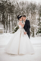 Fototapeta premium A bride and groom are standing in the snow, with the bride wearing a white dress and the groom wearing a suit