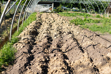 a vegetable garden, plowed earth field under the structure of a greenhouse without plastics. In...