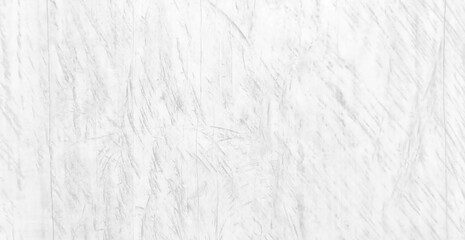 White wood texture with beautiful natural patterns in retro concept.