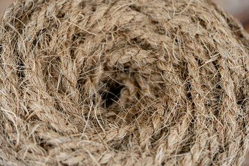 Fruchtfleisch und Seile aus Fasern von der Kokosnuss Cocos nucifera