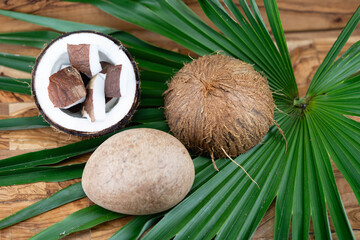 Fruchtfleisch und Seile aus Fasern von der Kokosnuss Cocos nucifera