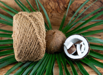 Fruchtfleisch und Seile aus Fasern von der Kokosnuss Cocos nucifera