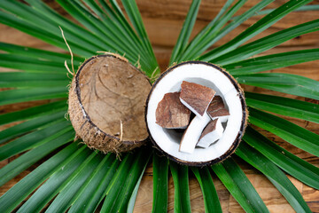 Fruchtfleisch und Seile aus Fasern von der Kokosnuss Cocos nucifera