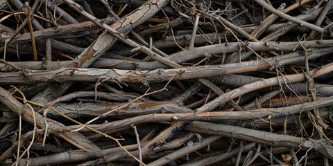 Texture Of Wooden Branches Of Twigs For Background And Other Design Solutions Created Using Artificial Intelligence