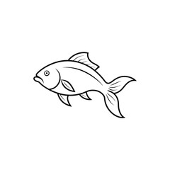  Elegant Carp Fish Vector Illustration.