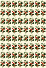 Strawberry Pattern