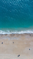 Aerial Ocean: A Bird's Eye View of the Sea