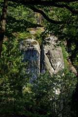 Cave Entrance In green Rocky Nature in summer in Europe