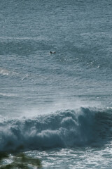 A close-up of a powerful ocean wave breaking, highlighting the raw force and beauty of the sea in motion.