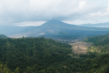Fototapeta premium An expansive view of Mount Batur volcano with a lush green valley in the foreground, under a cloudy sky.