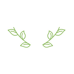 Floral frame illustration line color decoration design icon line green blue