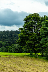 Ein kleiner Spaziergang am Rande des Thüringer Waldes zur Hallenburg vom Skigebiet Knüllfeld - Steinbach-Hallenberg - Thüringen - Deutschland