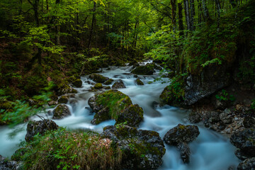 Dürrenbach Waldbach bei Hallstatt Salzkammergut Österreich