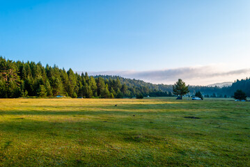 Golden hour haven, a peaceful retreat in nature, camping life