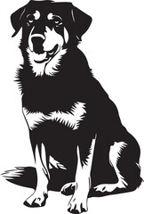 New Zealand Huntaway Dog