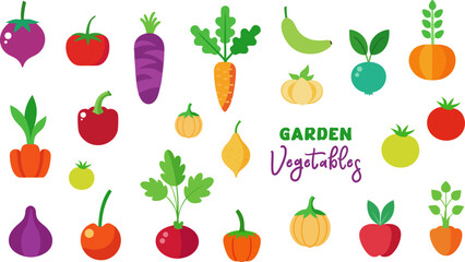 Garden Vegetables illustration collection bundle