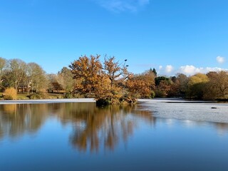 Ice on the surface of a partially frozen lake on a cold, bright day in winter. 