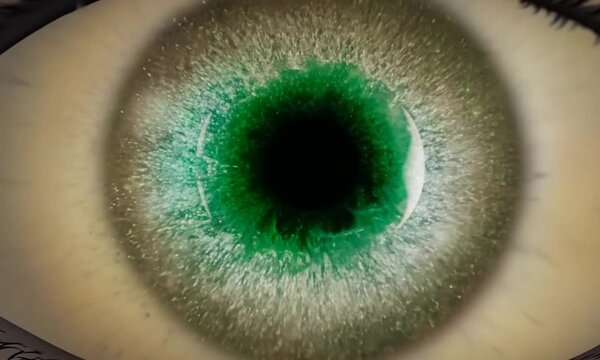 Close up: A human eye changes color, morphing through the powerful colors. Inside the eye, particles fluoresce, enhancing the vibrant transformation. Cinematic.
