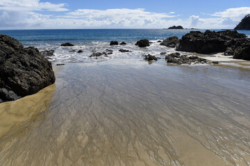 panoramic landscape view to Palm Beach on Waiheke Island, Auckland, North Island, New Zealand