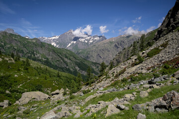Fototapeta premium the beauty of piedmont Alps and mountains